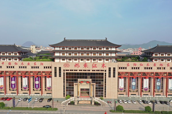 旭东红木浙江艺术紫檀博物馆大楼全景